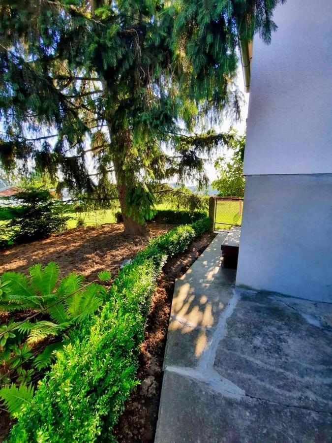 Rooms Optim Ptuj Exterior foto